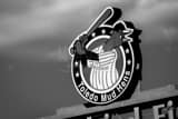 Toledo Mud Hens Sign Black and White Horizontal Toledo Mud Hens Sign black and white