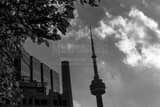 Cn Tower University Avenue Black and White Horizontal Cn Tower University Avenue black and white