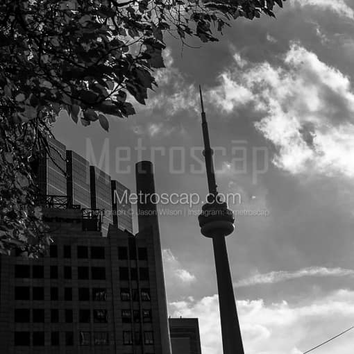 Matte Black MDF Framed Black and White Toronto Photograph: The CN Tower from University Avenue in a Square Matte Black MDF Frame
