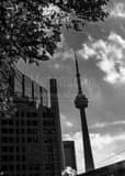 Cn Tower University Avenue Black and White Vertical Cn Tower University Avenue black and white