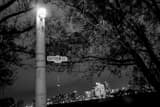 Toronto Skyline Black and White Horizontal Toronto Skyline black and white