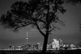 Toronto Skyline Wards Island Black and White Horizontal Toronto Skyline Wards Island black and white