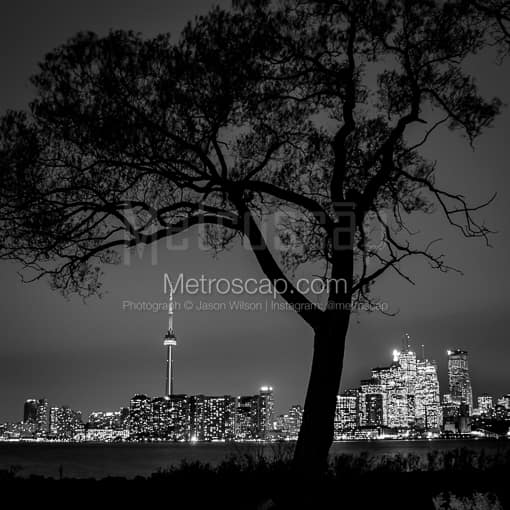 Matte Black MDF Framed Black and White Toronto Photograph: The Toronto Skyline from Wards Island in a Square Matte Black MDF Frame