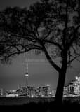 Toronto Skyline Wards Island Black and White Vertical Toronto Skyline Wards Island black and white