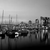 Sailboats Docked On False Creek Black and White Square Sailboats Docked On False Creek black and white
