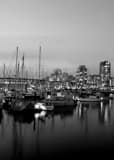 Sailboats Docked On False Creek Black and White Vertical Sailboats Docked On False Creek black and white