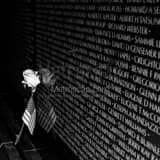 Rose And Flag On Vietnam Wall Black and White Square Rose And Flag On Vietnam Wall black and white