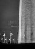 Us Flags Around Washington Monument Black and White Vertical Us Flags Around Washington Monument black and white