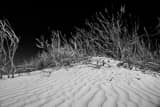 Sand Dunes In White Sands National Park Black and White Horizontal Sand Dunes In White Sands National Park black and white
