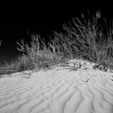 Sand Dunes In White Sands National Park Black and White Square Sand Dunes In White Sands National Park black and white
