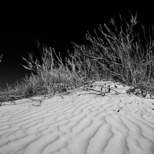Matte Black MDF Framed Black and White White Sands Photograph: Sand Dunes in White Sands National Park in a Square Matte Black MDF Frame