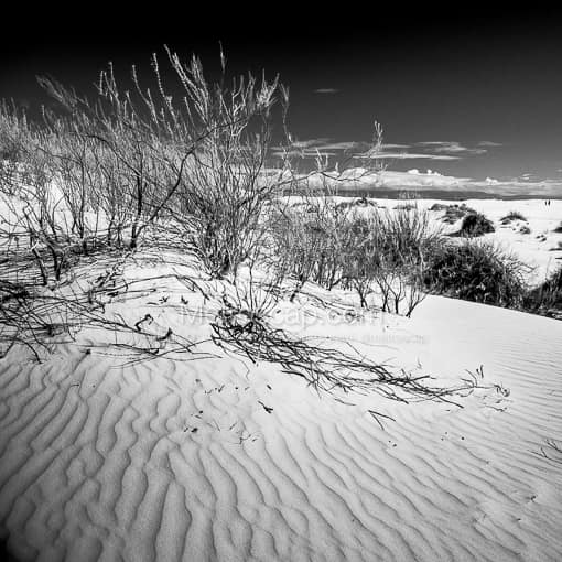 Matte Black MDF Framed Black and White White Sands Photograph: White Gypsum Sand Dunes in White Sands New Mexico in a Square Matte Black MDF Frame