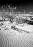 White Gypsum Sand Dunes In White Sands New Mexico Black and White Vertical White Gypsum Sand Dunes In White Sands New Mexico black and white